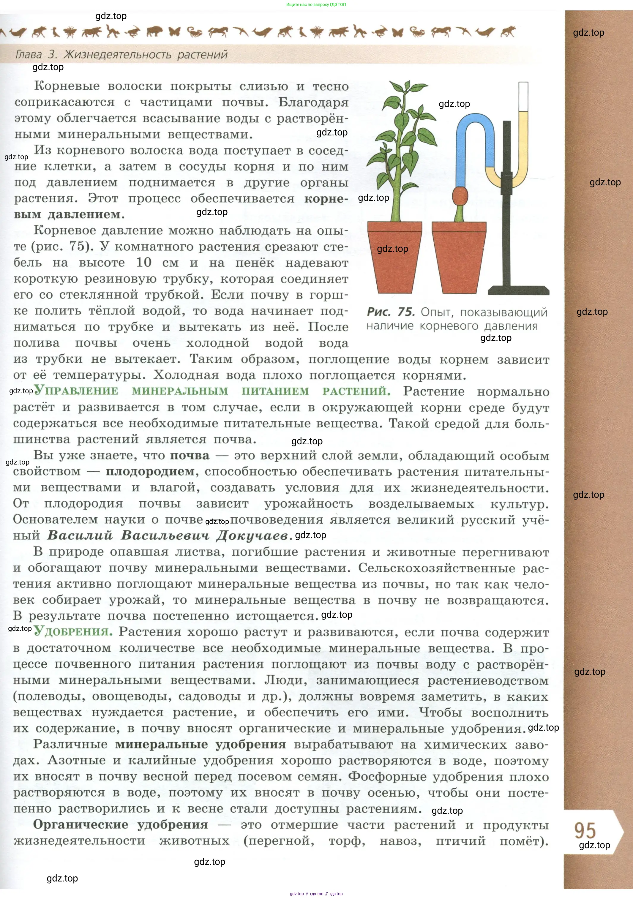 Биология, 6 класс Учебник, авторы: Пасечник Владимир Васильевич, Суматохин Сергей Витальевич, Гапонюк Зоя Георгиевна, Швецов Глеб Геннадьевич, издательство Просвещение, Москва, 2023, белого цвета, страница 95