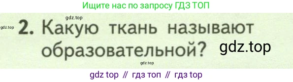 ГДЗ Биология, 6 класс Учебник, авторы: Пасечник Владимир Васильевич, Суматохин Сергей Витальевич, Гапонюк Зоя Георгиевна, Швецов Глеб Геннадьевич, издательство Просвещение, Москва, 2023, белого цвета, страница 52, номер 2, Условие