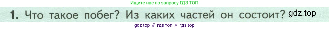 ГДЗ Биология, 6 класс Учебник, авторы: Пасечник Владимир Васильевич, Суматохин Сергей Витальевич, Гапонюк Зоя Георгиевна, Швецов Глеб Геннадьевич, издательство Просвещение, Москва, 2023, белого цвета, страница 54, номер 1, Условие