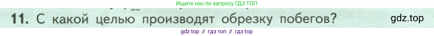 ГДЗ Биология, 6 класс Учебник, авторы: Пасечник Владимир Васильевич, Суматохин Сергей Витальевич, Гапонюк Зоя Георгиевна, Швецов Глеб Геннадьевич, издательство Просвещение, Москва, 2023, белого цвета, страница 54, номер 11, Условие