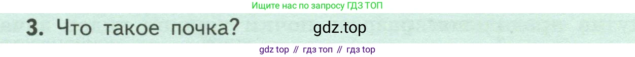 ГДЗ Биология, 6 класс Учебник, авторы: Пасечник Владимир Васильевич, Суматохин Сергей Витальевич, Гапонюк Зоя Георгиевна, Швецов Глеб Геннадьевич, издательство Просвещение, Москва, 2023, белого цвета, страница 54, номер 3, Условие