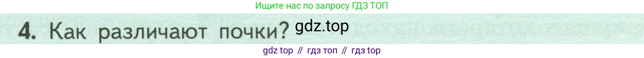 ГДЗ Биология, 6 класс Учебник, авторы: Пасечник Владимир Васильевич, Суматохин Сергей Витальевич, Гапонюк Зоя Георгиевна, Швецов Глеб Геннадьевич, издательство Просвещение, Москва, 2023, белого цвета, страница 54, номер 4, Условие