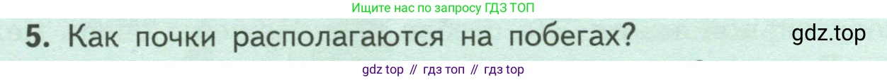 ГДЗ Биология, 6 класс Учебник, авторы: Пасечник Владимир Васильевич, Суматохин Сергей Витальевич, Гапонюк Зоя Георгиевна, Швецов Глеб Геннадьевич, издательство Просвещение, Москва, 2023, белого цвета, страница 54, номер 5, Условие