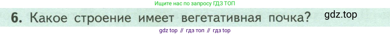 ГДЗ Биология, 6 класс Учебник, авторы: Пасечник Владимир Васильевич, Суматохин Сергей Витальевич, Гапонюк Зоя Георгиевна, Швецов Глеб Геннадьевич, издательство Просвещение, Москва, 2023, белого цвета, страница 54, номер 6, Условие