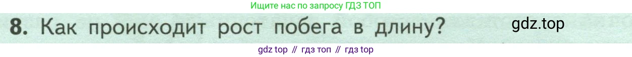 ГДЗ Биология, 6 класс Учебник, авторы: Пасечник Владимир Васильевич, Суматохин Сергей Витальевич, Гапонюк Зоя Георгиевна, Швецов Глеб Геннадьевич, издательство Просвещение, Москва, 2023, белого цвета, страница 54, номер 8, Условие