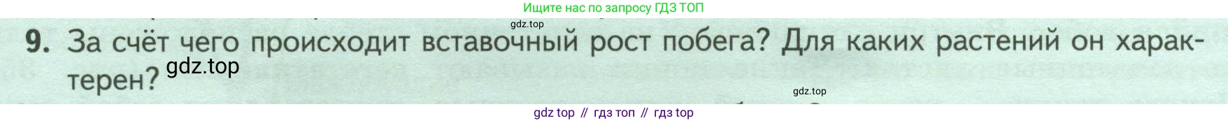 ГДЗ Биология, 6 класс Учебник, авторы: Пасечник Владимир Васильевич, Суматохин Сергей Витальевич, Гапонюк Зоя Георгиевна, Швецов Глеб Геннадьевич, издательство Просвещение, Москва, 2023, белого цвета, страница 54, номер 9, Условие