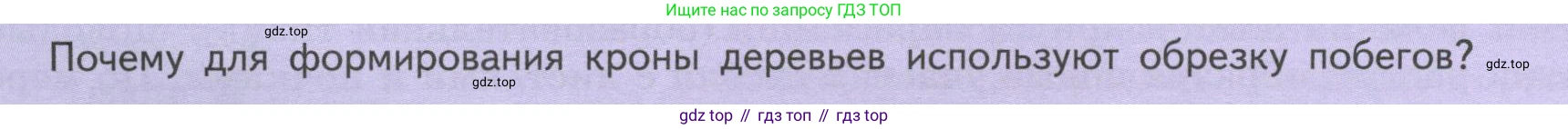 ГДЗ Биология, 6 класс Учебник, авторы: Пасечник Владимир Васильевич, Суматохин Сергей Витальевич, Гапонюк Зоя Георгиевна, Швецов Глеб Геннадьевич, издательство Просвещение, Москва, 2023, белого цвета, страница 54, Условие