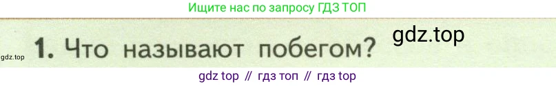 ГДЗ Биология, 6 класс Учебник, авторы: Пасечник Владимир Васильевич, Суматохин Сергей Витальевич, Гапонюк Зоя Георгиевна, Швецов Глеб Геннадьевич, издательство Просвещение, Москва, 2023, белого цвета, страница 56, номер 1, Условие