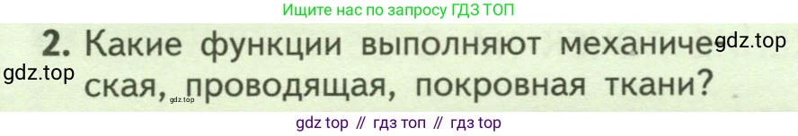 ГДЗ Биология, 6 класс Учебник, авторы: Пасечник Владимир Васильевич, Суматохин Сергей Витальевич, Гапонюк Зоя Георгиевна, Швецов Глеб Геннадьевич, издательство Просвещение, Москва, 2023, белого цвета, страница 56, номер 2, Условие