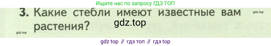 ГДЗ Биология, 6 класс Учебник, авторы: Пасечник Владимир Васильевич, Суматохин Сергей Витальевич, Гапонюк Зоя Георгиевна, Швецов Глеб Геннадьевич, издательство Просвещение, Москва, 2023, белого цвета, страница 56, номер 3, Условие