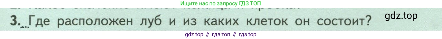 ГДЗ Биология, 6 класс Учебник, авторы: Пасечник Владимир Васильевич, Суматохин Сергей Витальевич, Гапонюк Зоя Георгиевна, Швецов Глеб Геннадьевич, издательство Просвещение, Москва, 2023, белого цвета, страница 59, номер 3, Условие