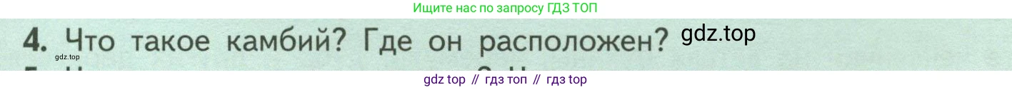 ГДЗ Биология, 6 класс Учебник, авторы: Пасечник Владимир Васильевич, Суматохин Сергей Витальевич, Гапонюк Зоя Георгиевна, Швецов Глеб Геннадьевич, издательство Просвещение, Москва, 2023, белого цвета, страница 59, номер 4, Условие
