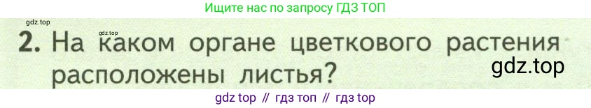ГДЗ Биология, 6 класс Учебник, авторы: Пасечник Владимир Васильевич, Суматохин Сергей Витальевич, Гапонюк Зоя Георгиевна, Швецов Глеб Геннадьевич, издательство Просвещение, Москва, 2023, белого цвета, страница 62, номер 2, Условие