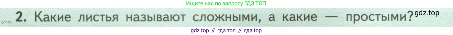 ГДЗ Биология, 6 класс Учебник, авторы: Пасечник Владимир Васильевич, Суматохин Сергей Витальевич, Гапонюк Зоя Георгиевна, Швецов Глеб Геннадьевич, издательство Просвещение, Москва, 2023, белого цвета, страница 66, номер 2, Условие