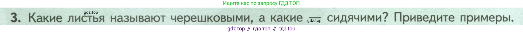 ГДЗ Биология, 6 класс Учебник, авторы: Пасечник Владимир Васильевич, Суматохин Сергей Витальевич, Гапонюк Зоя Георгиевна, Швецов Глеб Геннадьевич, издательство Просвещение, Москва, 2023, белого цвета, страница 66, номер 3, Условие