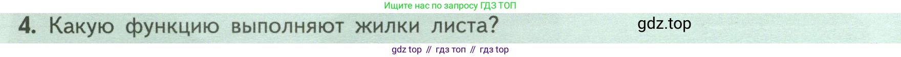 ГДЗ Биология, 6 класс Учебник, авторы: Пасечник Владимир Васильевич, Суматохин Сергей Витальевич, Гапонюк Зоя Георгиевна, Швецов Глеб Геннадьевич, издательство Просвещение, Москва, 2023, белого цвета, страница 66, номер 4, Условие