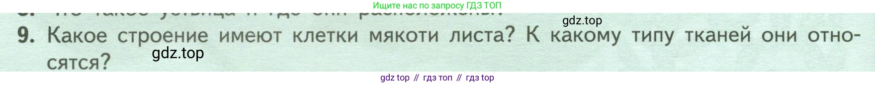 ГДЗ Биология, 6 класс Учебник, авторы: Пасечник Владимир Васильевич, Суматохин Сергей Витальевич, Гапонюк Зоя Георгиевна, Швецов Глеб Геннадьевич, издательство Просвещение, Москва, 2023, белого цвета, страница 66, номер 9, Условие