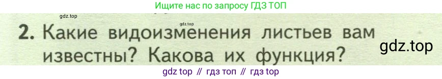 ГДЗ Биология, 6 класс Учебник, авторы: Пасечник Владимир Васильевич, Суматохин Сергей Витальевич, Гапонюк Зоя Георгиевна, Швецов Глеб Геннадьевич, издательство Просвещение, Москва, 2023, белого цвета, страница 70, номер 2, Условие