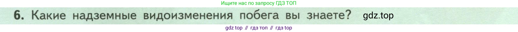 ГДЗ Биология, 6 класс Учебник, авторы: Пасечник Владимир Васильевич, Суматохин Сергей Витальевич, Гапонюк Зоя Георгиевна, Швецов Глеб Геннадьевич, издательство Просвещение, Москва, 2023, белого цвета, страница 72, номер 6, Условие