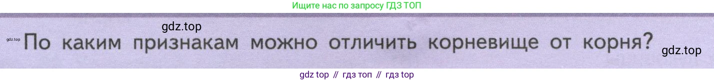 ГДЗ Биология, 6 класс Учебник, авторы: Пасечник Владимир Васильевич, Суматохин Сергей Витальевич, Гапонюк Зоя Георгиевна, Швецов Глеб Геннадьевич, издательство Просвещение, Москва, 2023, белого цвета, страница 72, Условие
