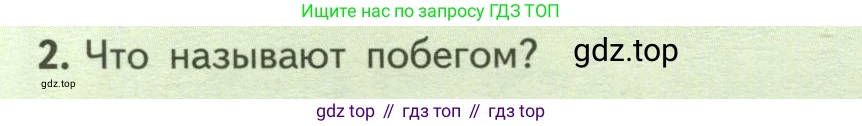 ГДЗ Биология, 6 класс Учебник, авторы: Пасечник Владимир Васильевич, Суматохин Сергей Витальевич, Гапонюк Зоя Георгиевна, Швецов Глеб Геннадьевич, издательство Просвещение, Москва, 2023, белого цвета, страница 74, номер 2, Условие