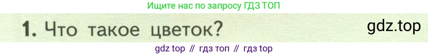 ГДЗ Биология, 6 класс Учебник, авторы: Пасечник Владимир Васильевич, Суматохин Сергей Витальевич, Гапонюк Зоя Георгиевна, Швецов Глеб Геннадьевич, издательство Просвещение, Москва, 2023, белого цвета, страница 78, номер 1, Условие