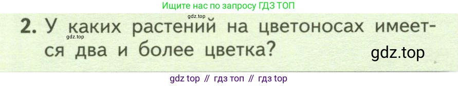 ГДЗ Биология, 6 класс Учебник, авторы: Пасечник Владимир Васильевич, Суматохин Сергей Витальевич, Гапонюк Зоя Георгиевна, Швецов Глеб Геннадьевич, издательство Просвещение, Москва, 2023, белого цвета, страница 78, номер 2, Условие