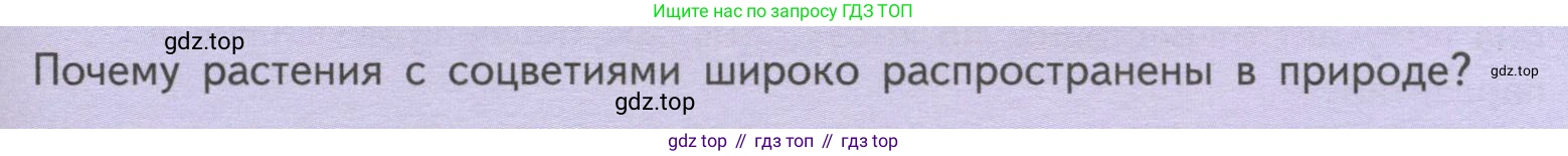 ГДЗ Биология, 6 класс Учебник, авторы: Пасечник Владимир Васильевич, Суматохин Сергей Витальевич, Гапонюк Зоя Георгиевна, Швецов Глеб Геннадьевич, издательство Просвещение, Москва, 2023, белого цвета, страница 79, Условие