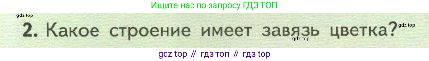 ГДЗ Биология, 6 класс Учебник, авторы: Пасечник Владимир Васильевич, Суматохин Сергей Витальевич, Гапонюк Зоя Георгиевна, Швецов Глеб Геннадьевич, издательство Просвещение, Москва, 2023, белого цвета, страница 82, номер 2, Условие