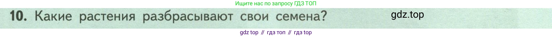 ГДЗ Биология, 6 класс Учебник, авторы: Пасечник Владимир Васильевич, Суматохин Сергей Витальевич, Гапонюк Зоя Георгиевна, Швецов Глеб Геннадьевич, издательство Просвещение, Москва, 2023, белого цвета, страница 87, номер 10, Условие