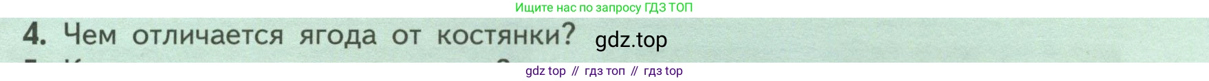 ГДЗ Биология, 6 класс Учебник, авторы: Пасечник Владимир Васильевич, Суматохин Сергей Витальевич, Гапонюк Зоя Георгиевна, Швецов Глеб Геннадьевич, издательство Просвещение, Москва, 2023, белого цвета, страница 87, номер 4, Условие