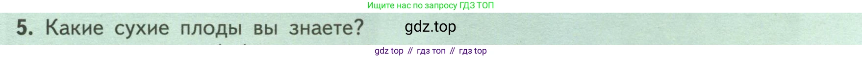 ГДЗ Биология, 6 класс Учебник, авторы: Пасечник Владимир Васильевич, Суматохин Сергей Витальевич, Гапонюк Зоя Георгиевна, Швецов Глеб Геннадьевич, издательство Просвещение, Москва, 2023, белого цвета, страница 87, номер 5, Условие