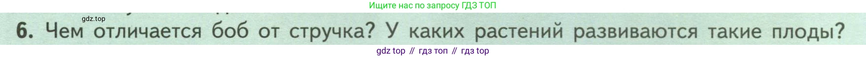 ГДЗ Биология, 6 класс Учебник, авторы: Пасечник Владимир Васильевич, Суматохин Сергей Витальевич, Гапонюк Зоя Георгиевна, Швецов Глеб Геннадьевич, издательство Просвещение, Москва, 2023, белого цвета, страница 87, номер 6, Условие
