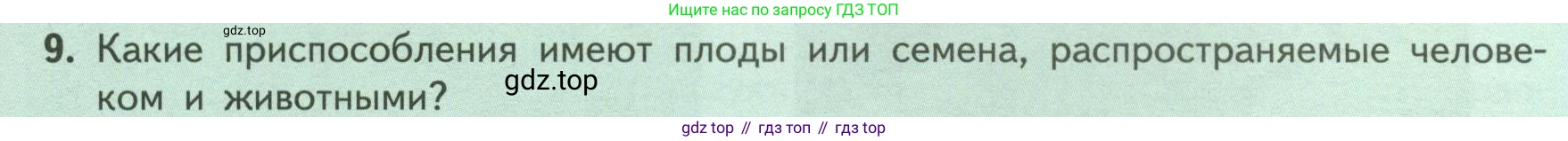 ГДЗ Биология, 6 класс Учебник, авторы: Пасечник Владимир Васильевич, Суматохин Сергей Витальевич, Гапонюк Зоя Георгиевна, Швецов Глеб Геннадьевич, издательство Просвещение, Москва, 2023, белого цвета, страница 87, номер 9, Условие