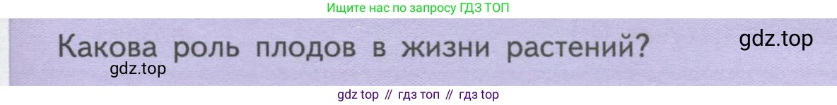 ГДЗ Биология, 6 класс Учебник, авторы: Пасечник Владимир Васильевич, Суматохин Сергей Витальевич, Гапонюк Зоя Георгиевна, Швецов Глеб Геннадьевич, издательство Просвещение, Москва, 2023, белого цвета, страница 87, Условие