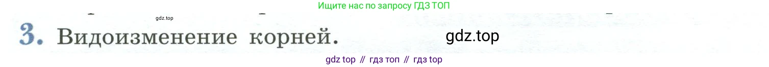 ГДЗ Биология, 6 класс Учебник, авторы: Пасечник Владимир Васильевич, Суматохин Сергей Витальевич, Гапонюк Зоя Георгиевна, Швецов Глеб Геннадьевич, издательство Просвещение, Москва, 2023, белого цвета, страница 90, номер 3, Условие