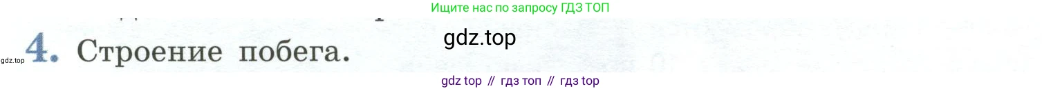 Биология, 6 класс Учебник, авторы: Пасечник Владимир Васильевич, Суматохин Сергей Витальевич, Гапонюк Зоя Георгиевна, Швецов Глеб Геннадьевич, издательство Просвещение, Москва, 2023, белого цвета, страница 90, номер 4, Условие
