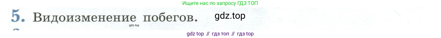 ГДЗ Биология, 6 класс Учебник, авторы: Пасечник Владимир Васильевич, Суматохин Сергей Витальевич, Гапонюк Зоя Георгиевна, Швецов Глеб Геннадьевич, издательство Просвещение, Москва, 2023, белого цвета, страница 90, номер 5, Условие