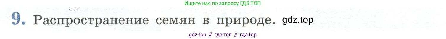 ГДЗ Биология, 6 класс Учебник, авторы: Пасечник Владимир Васильевич, Суматохин Сергей Витальевич, Гапонюк Зоя Георгиевна, Швецов Глеб Геннадьевич, издательство Просвещение, Москва, 2023, белого цвета, страница 90, номер 9, Условие