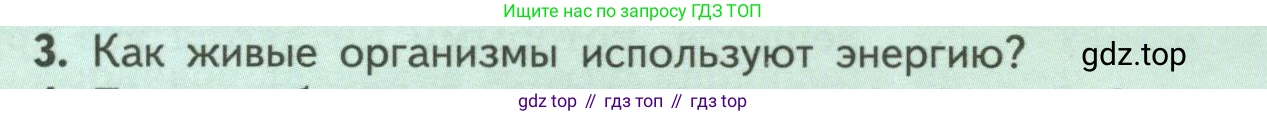 ГДЗ Биология, 6 класс Учебник, авторы: Пасечник Владимир Васильевич, Суматохин Сергей Витальевич, Гапонюк Зоя Георгиевна, Швецов Глеб Геннадьевич, издательство Просвещение, Москва, 2023, белого цвета, страница 93, номер 3, Условие