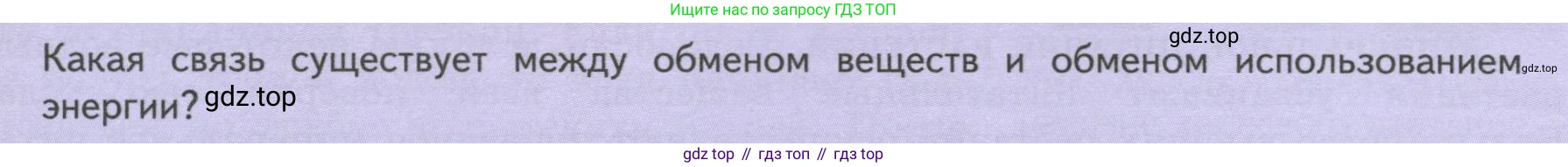 ГДЗ Биология, 6 класс Учебник, авторы: Пасечник Владимир Васильевич, Суматохин Сергей Витальевич, Гапонюк Зоя Георгиевна, Швецов Глеб Геннадьевич, издательство Просвещение, Москва, 2023, белого цвета, страница 93, Условие