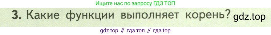 ГДЗ Биология, 6 класс Учебник, авторы: Пасечник Владимир Васильевич, Суматохин Сергей Витальевич, Гапонюк Зоя Георгиевна, Швецов Глеб Геннадьевич, издательство Просвещение, Москва, 2023, белого цвета, страница 94, номер 3, Условие