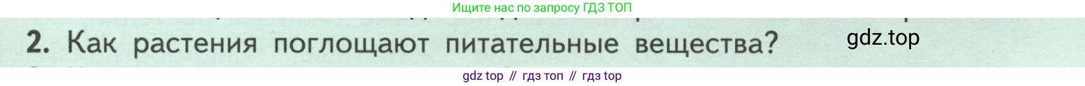 ГДЗ Биология, 6 класс Учебник, авторы: Пасечник Владимир Васильевич, Суматохин Сергей Витальевич, Гапонюк Зоя Георгиевна, Швецов Глеб Геннадьевич, издательство Просвещение, Москва, 2023, белого цвета, страница 97, номер 2, Условие