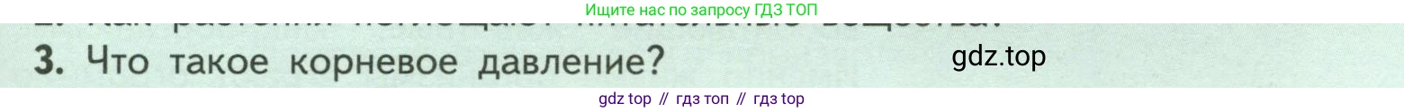 ГДЗ Биология, 6 класс Учебник, авторы: Пасечник Владимир Васильевич, Суматохин Сергей Витальевич, Гапонюк Зоя Георгиевна, Швецов Глеб Геннадьевич, издательство Просвещение, Москва, 2023, белого цвета, страница 97, номер 3, Условие
