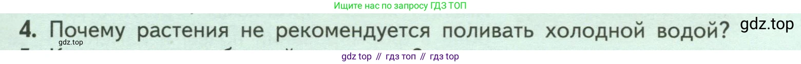 ГДЗ Биология, 6 класс Учебник, авторы: Пасечник Владимир Васильевич, Суматохин Сергей Витальевич, Гапонюк Зоя Георгиевна, Швецов Глеб Геннадьевич, издательство Просвещение, Москва, 2023, белого цвета, страница 97, номер 4, Условие
