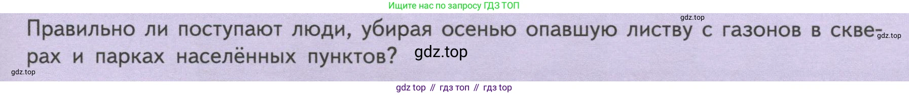ГДЗ Биология, 6 класс Учебник, авторы: Пасечник Владимир Васильевич, Суматохин Сергей Витальевич, Гапонюк Зоя Георгиевна, Швецов Глеб Геннадьевич, издательство Просвещение, Москва, 2023, белого цвета, страница 97, Условие