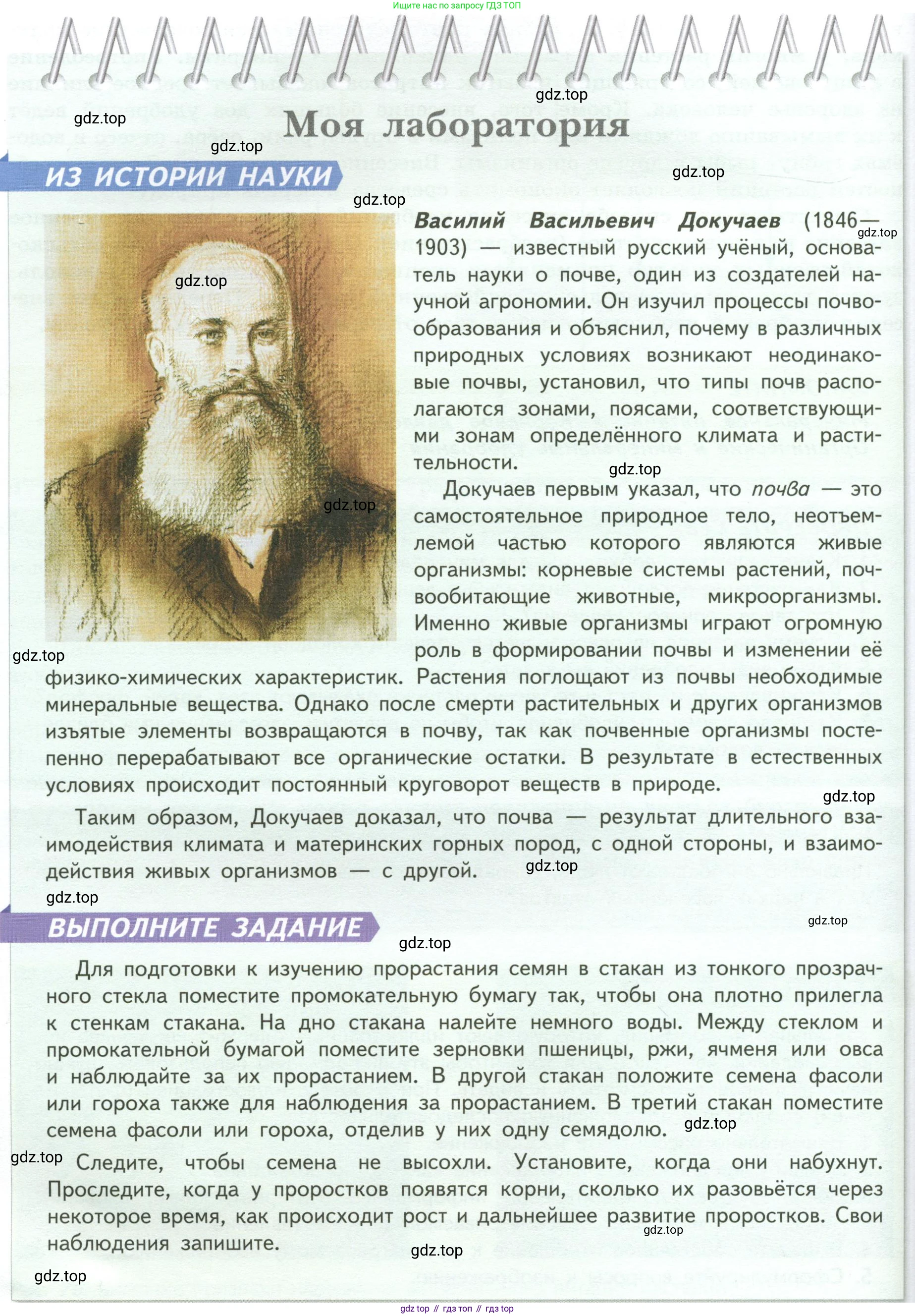 ГДЗ Биология, 6 класс Учебник, авторы: Пасечник Владимир Васильевич, Суматохин Сергей Витальевич, Гапонюк Зоя Георгиевна, Швецов Глеб Геннадьевич, издательство Просвещение, Москва, 2023, белого цвета, страница 98, Условие