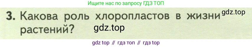 ГДЗ Биология, 6 класс Учебник, авторы: Пасечник Владимир Васильевич, Суматохин Сергей Витальевич, Гапонюк Зоя Георгиевна, Швецов Глеб Геннадьевич, издательство Просвещение, Москва, 2023, белого цвета, страница 100, номер 3, Условие