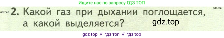 ГДЗ Биология, 6 класс Учебник, авторы: Пасечник Владимир Васильевич, Суматохин Сергей Витальевич, Гапонюк Зоя Георгиевна, Швецов Глеб Геннадьевич, издательство Просвещение, Москва, 2023, белого цвета, страница 106, номер 2, Условие