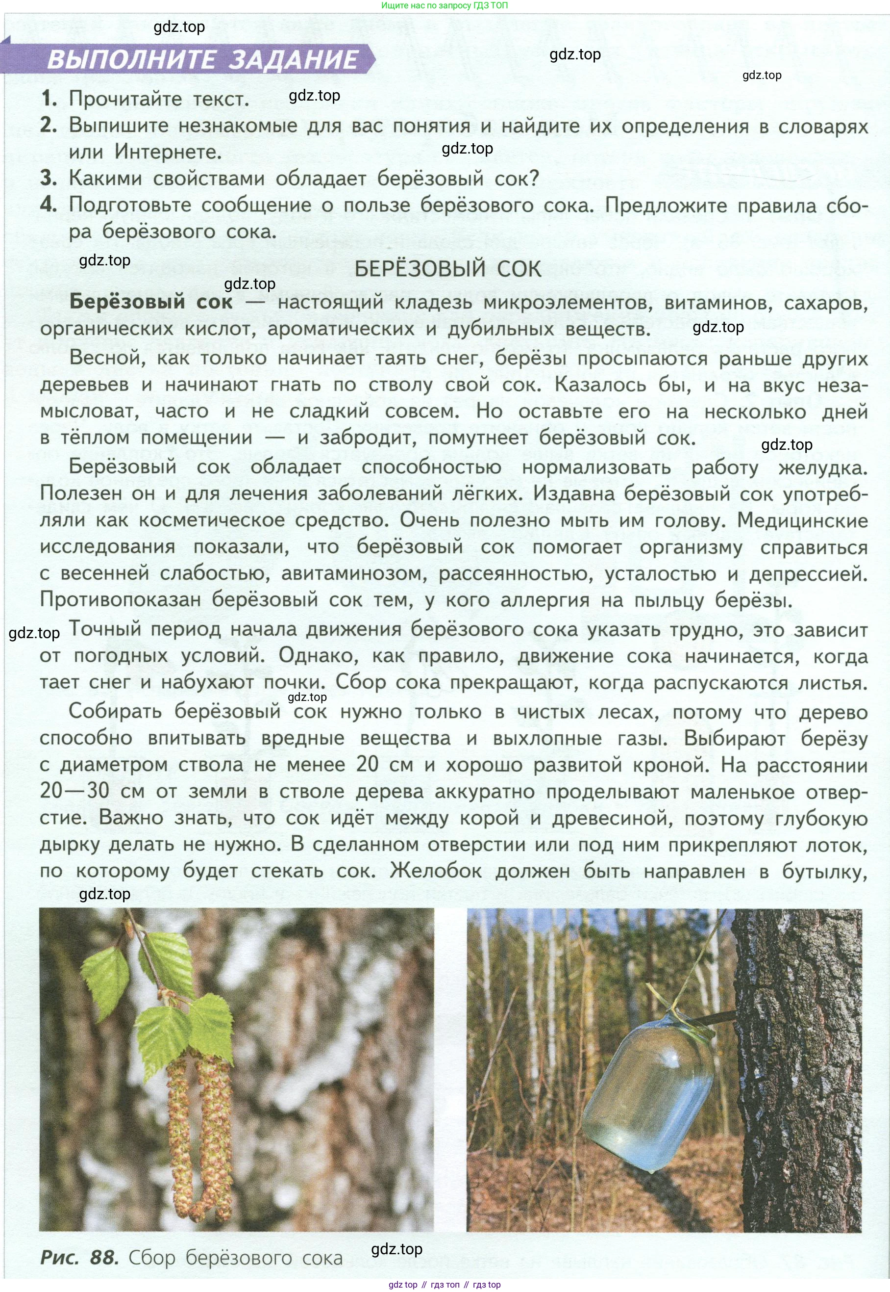 Биология, 6 класс Учебник, авторы: Пасечник Владимир Васильевич, Суматохин Сергей Витальевич, Гапонюк Зоя Георгиевна, Швецов Глеб Геннадьевич, издательство Просвещение, Москва, 2023, белого цвета, страница 113, Условие (продолжение 2)